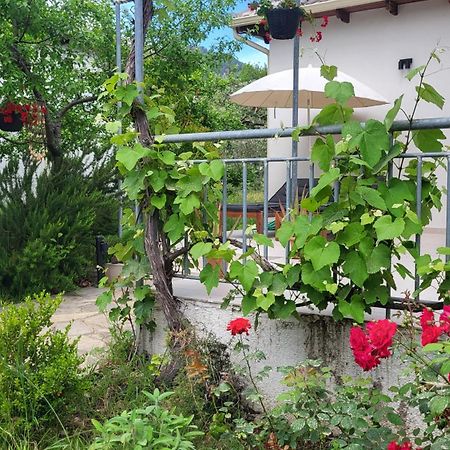 Ioannis Houses - Gemuetliches Ferienhaus Im Olivenhain Skala Potamia  Exteriör bild