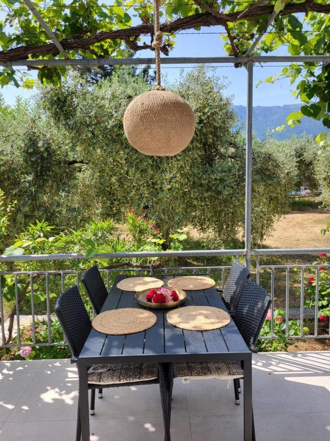Ioannis Houses - Gemuetliches Ferienhaus Im Olivenhain Skala Potamia  Exteriör bild