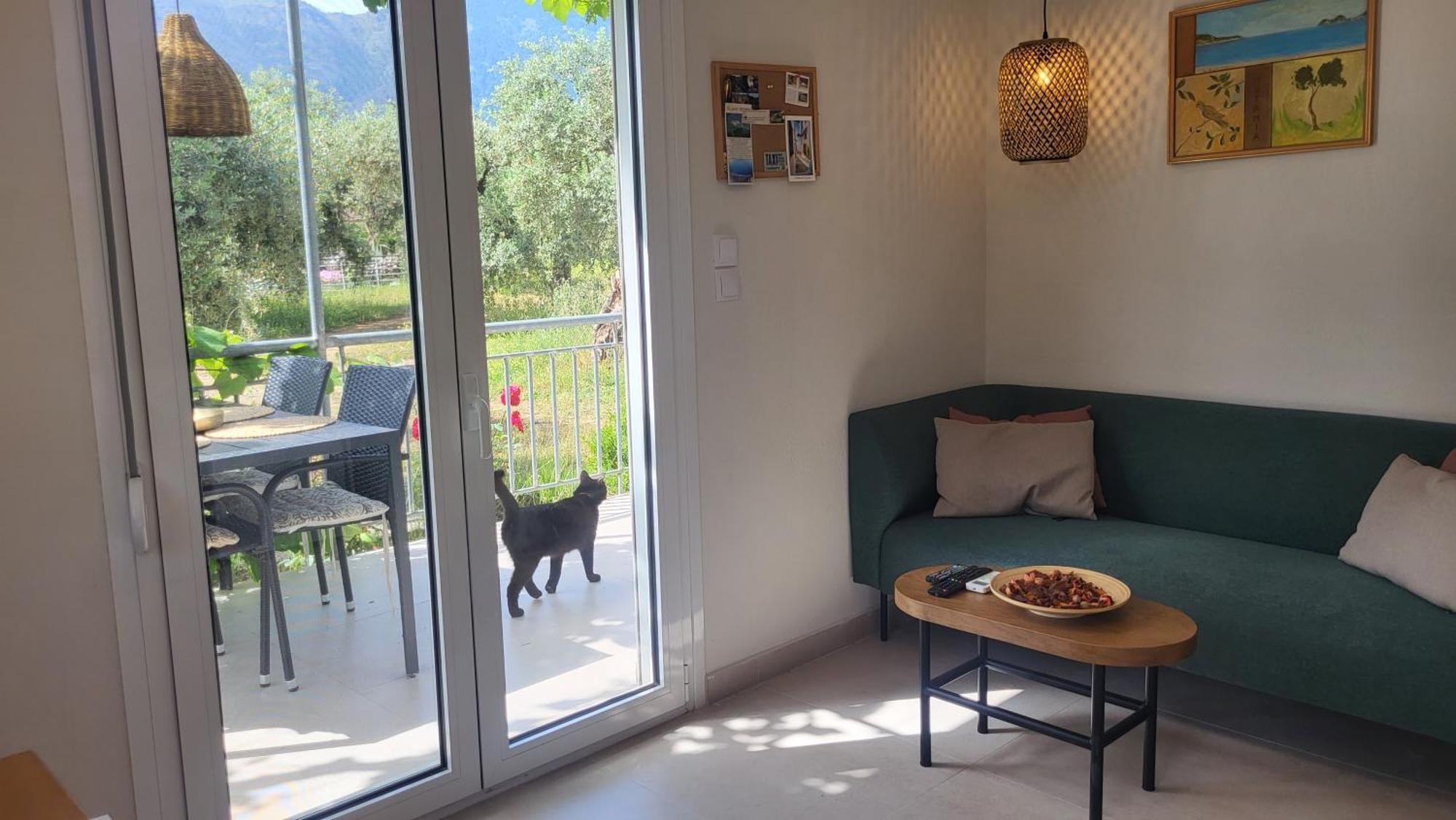 Ioannis Houses - Gemuetliches Ferienhaus Im Olivenhain Skala Potamia  Rum bild